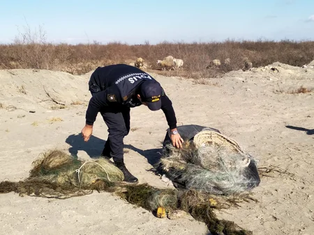 İmişlidə brakonyerliyə qarşı reyd keçirilib