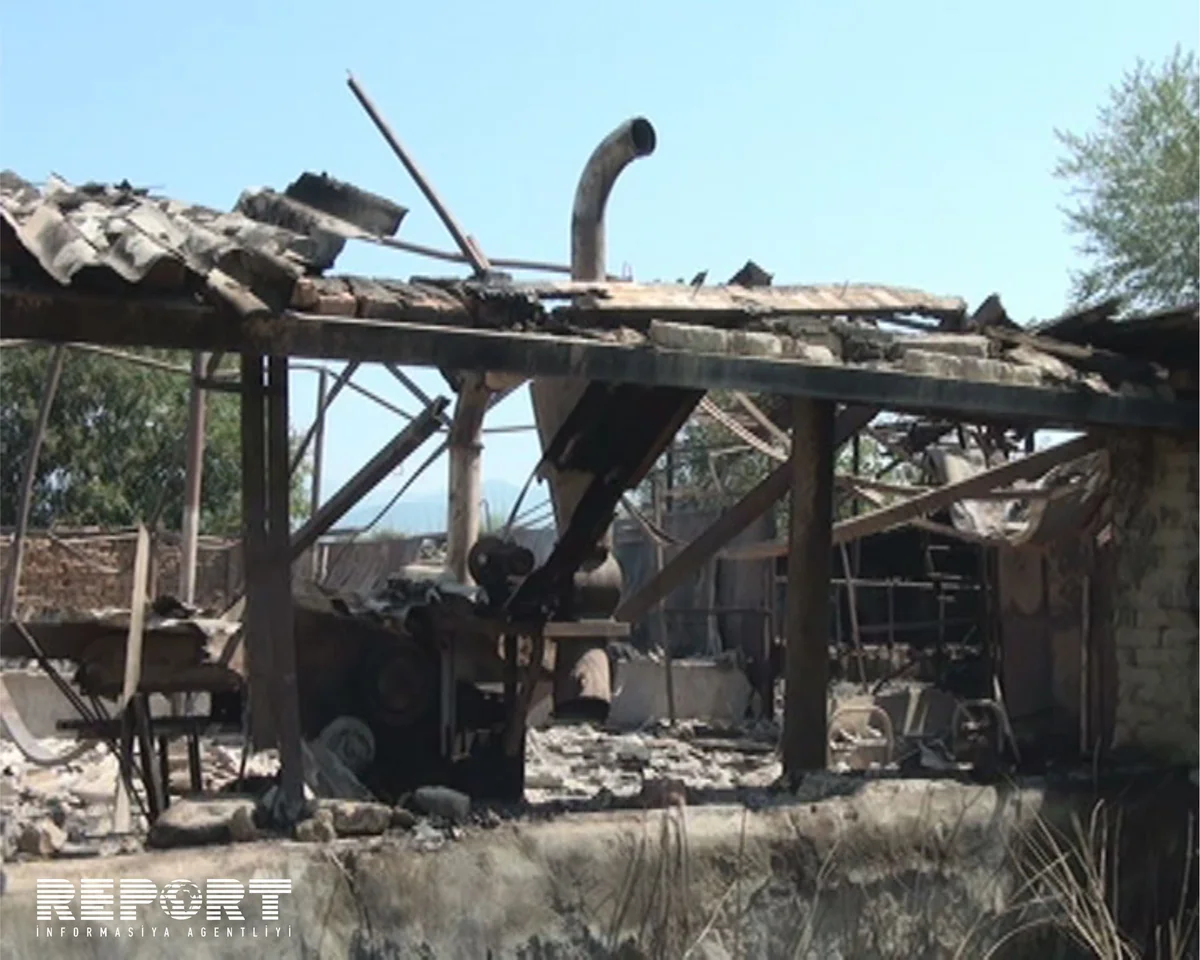 Zaqatalada fermada yanğın olub, ferma sahibinə 150 min manat ziyan dəyib - FOTO