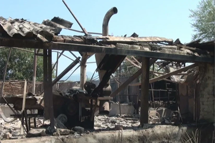 В Закатале на ферме произошел пожар, владельцу нанесен ущерб на 150 тыс. манатов - ФОТО