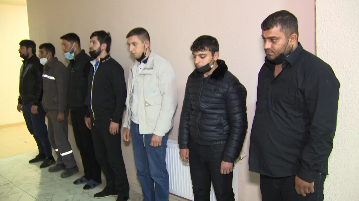 Abşeronda ət kombinatından 80 tondan artıq ət oğurlanıb