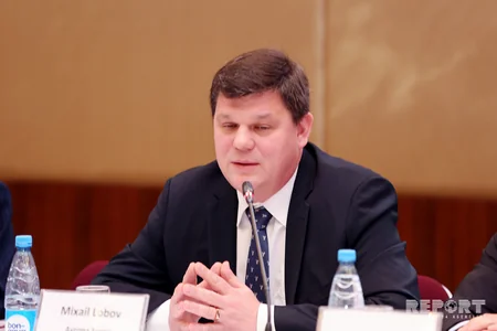 Department chief: Azerbaijan actively participates in Council of Europe projects on reforming legal system