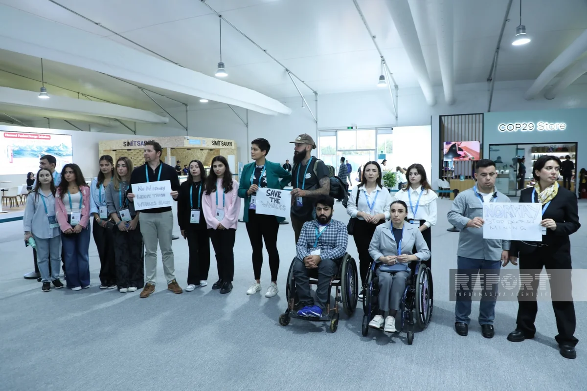 İsveçrə, Kanada və Böyük Britaniya ekofəalları COP29-da balina ovuna qarşı etiraz aksiyası keçirib