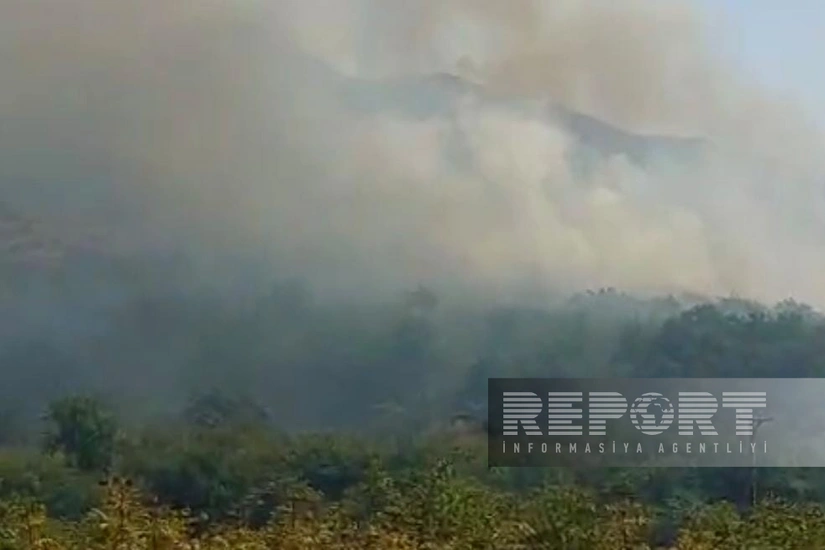 Ağdərənin bəzi ərazilərində yeni yanğınlar başlayıb