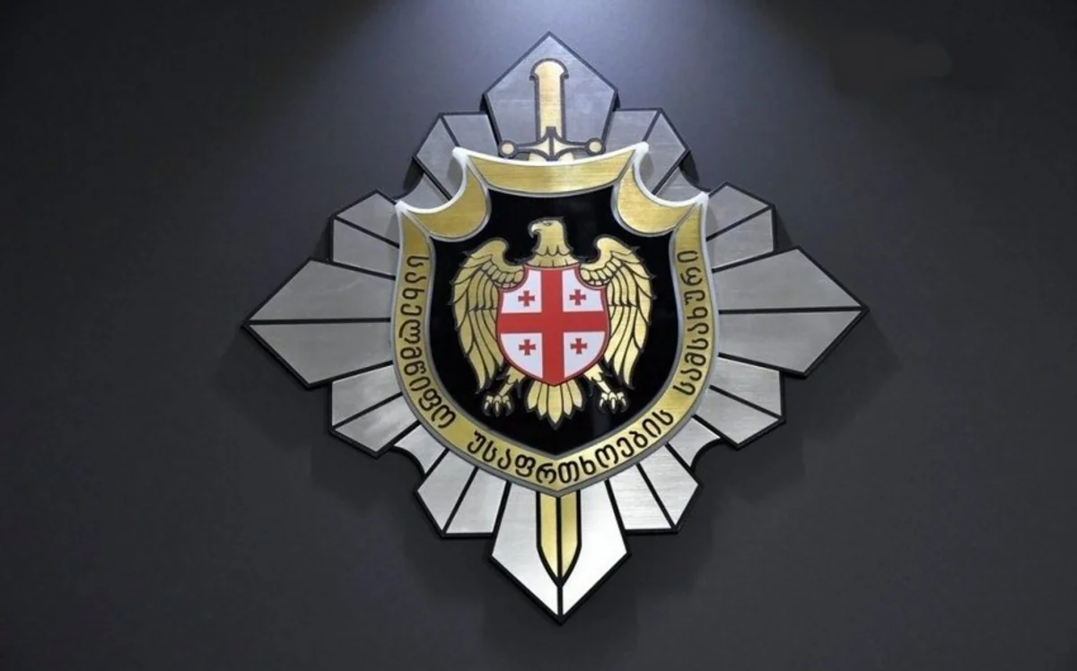 Gürcüstan DTX: Ölkədə hakimiyyəti zorla devirmək planı olub