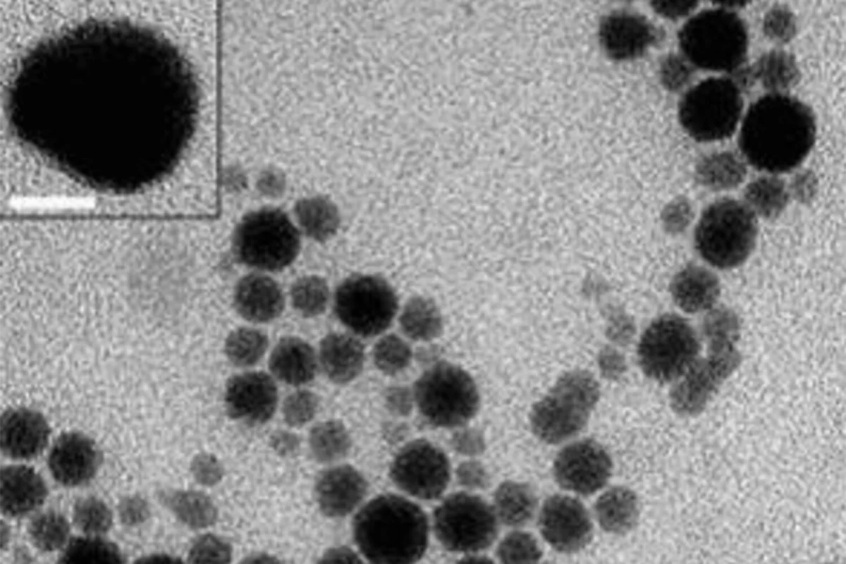 Alimlər melanomanın müalicəsi üçün gümüş plastr yaradıblar