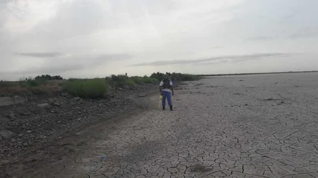 Son altı gündə Biləsuvarda 703 ədəd partlamamış hərbi sursat tapılıb