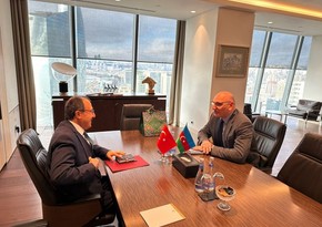 Elchin Amirbayov, Cahit Bagci mull peace process and regional issues