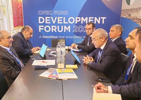 Микаил Джаббаров принял участие в Форуме Международного фонда развития ОПЕК