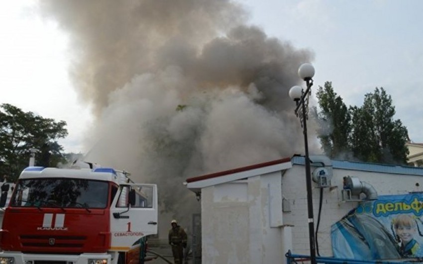 Fire breaks out in dolphinarium in Russia