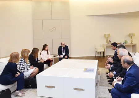 Мехрибан Алиева провела ряд встреч