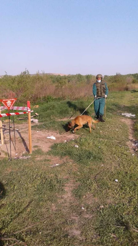 Füzulidə əl qumbarası tapıldı