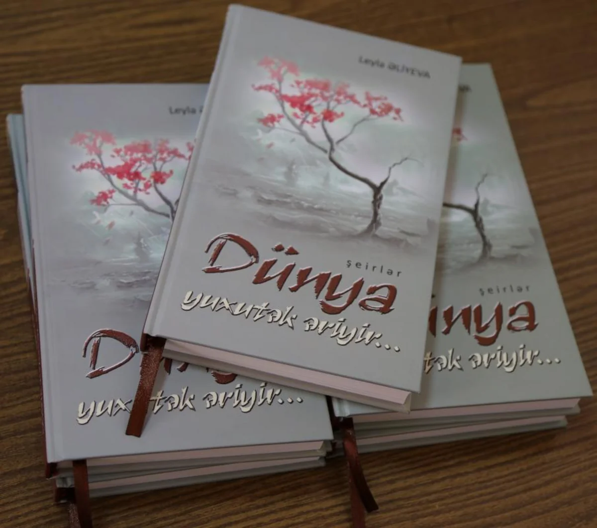 Leyla Aliyeva's book of poems published