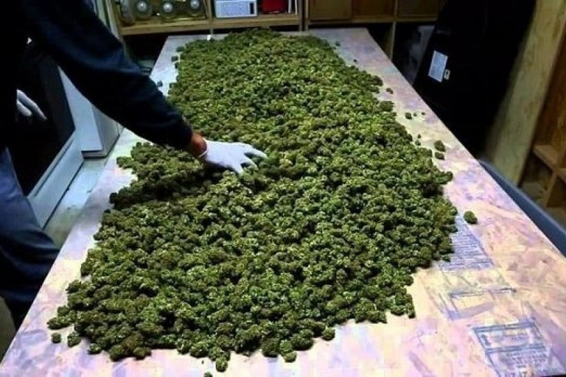 Gəncə sakinindən külli miqdarda narkotik maddə götürülüb