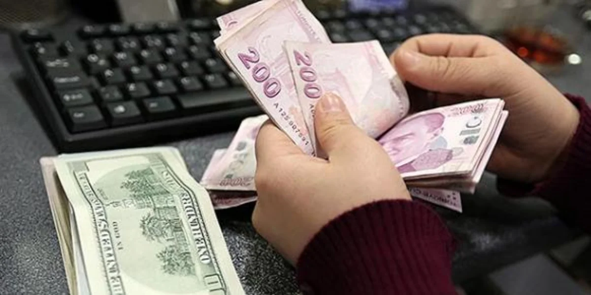Societe Generale: Türkiyədə dolların məzənnəsi daha da artacaq