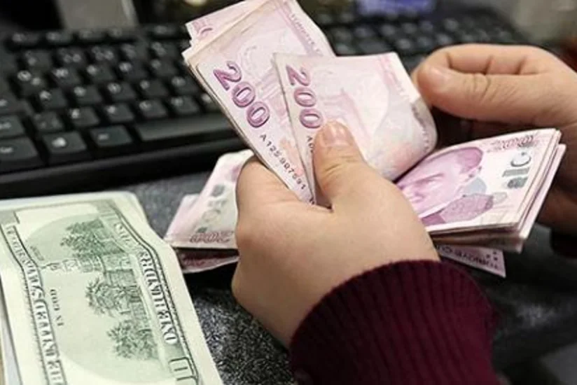 Societe Generale: Türkiyədə dolların məzənnəsi daha da artacaq