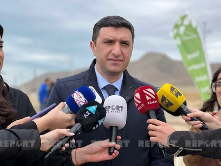 Bakıda Beynəlxalq Bitki Sağlamlığı Günü münasibətilə ağacəkmə aksiyası keçirilib