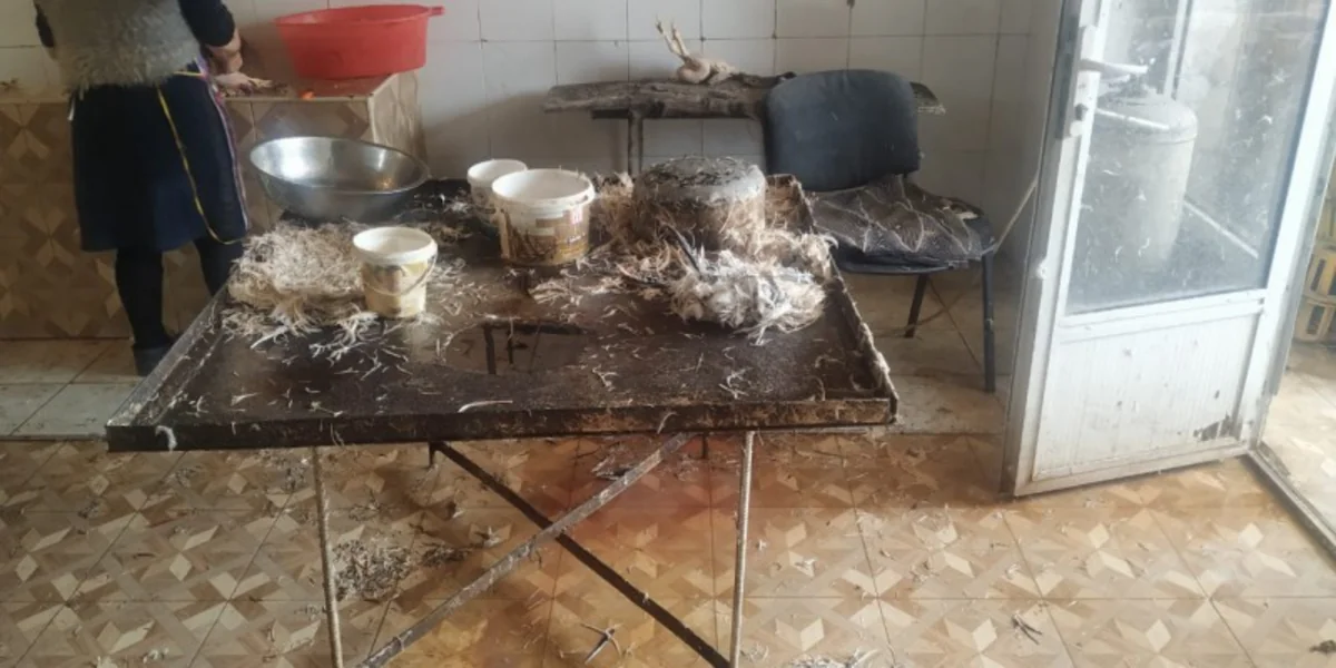 Şəmkirdə quş kəsimi müəssisəsinin fəaliyyəti nöqsanlara görə məhdudlaşdırılıb