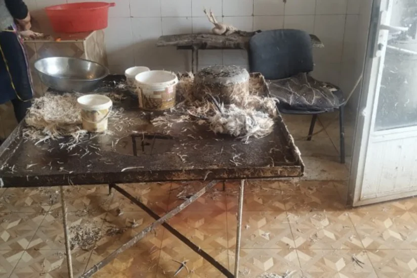 Şəmkirdə quş kəsimi müəssisəsinin fəaliyyəti nöqsanlara görə məhdudlaşdırılıb