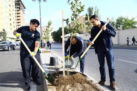 Baş Prokurorluq, ETSN və BDU-nun birgə ECOLEAD layihəsi icra olunur