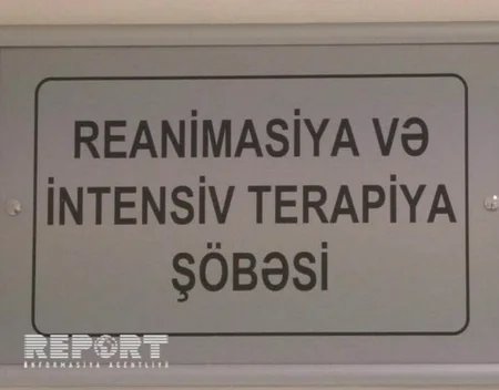 Şəkidə 45 yaşlı kişi kəsdiyi ağacın altında qalıb