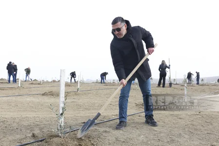 Global Media Group “Yaşıl dünya naminə həmrəylik ili” çərçivəsində ağacəkmə aksiyası keçirib