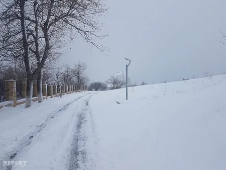 Şamaxıya yağan güclü qar yeni çiçəkləyən meyvə ağaclarına ziyan vurub - FOTO