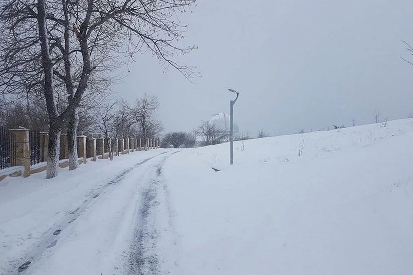 Сильный снегопад в Шамахе нанес ущерб цветущим фруктовым деревьям - ФОТО