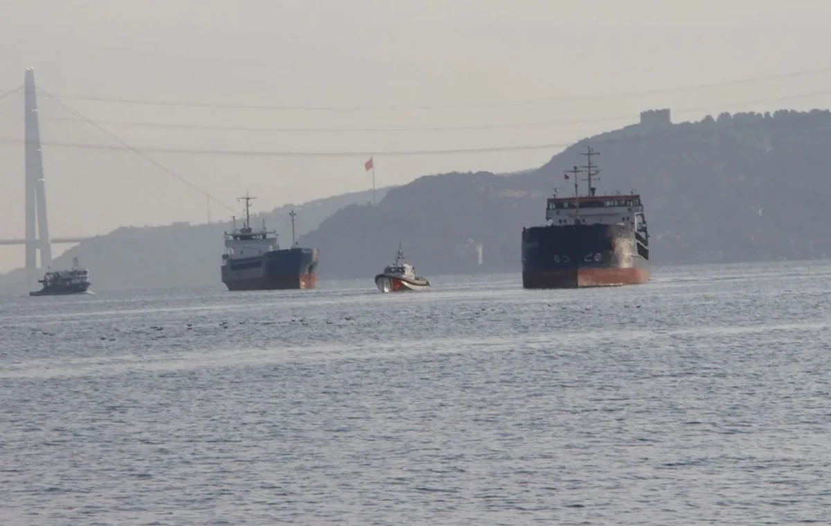 Passenger and cargo ships collide in Bosphorus
