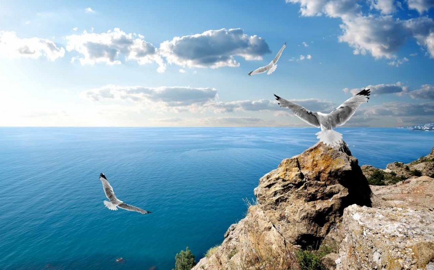Qara dənizdə Rusiyanın qəzaya uğramış hərbi təyyarəsinin qalıqları tapılıb