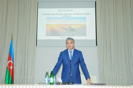 Azərbaycanda bu il 7 növ pambıq əkilib