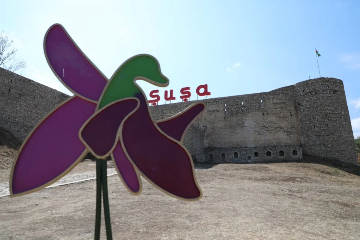 Azad edilmiş ərazilərin bərpaolunan enerji potensialı açıqlanıb