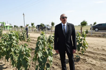 Prezident İlham Əliyev Cəlilabadda “Günəşli-Aqro” MMC-nin aqroparkında yaradılan şəraitlə tanış olub