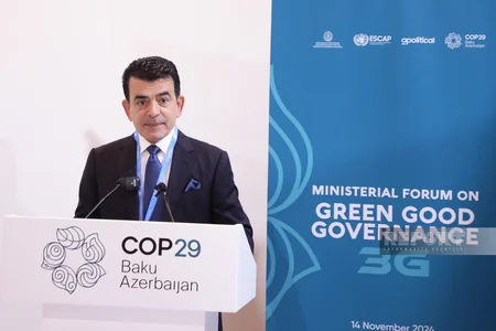 Ministerial forum on green governance launches at COP29 in Baku