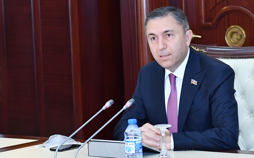 Komitə sədri: Cənub Qaz Dəhlizinin illik gücü 30 milyard kubmetrə çatdırıla bilər