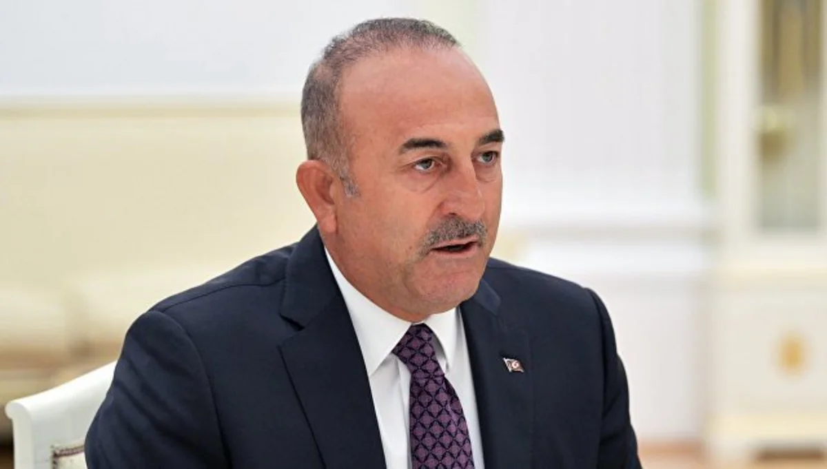 Чавушоглу: Турция готова объединиться с Россией для борьбы с террористами в Идлибе