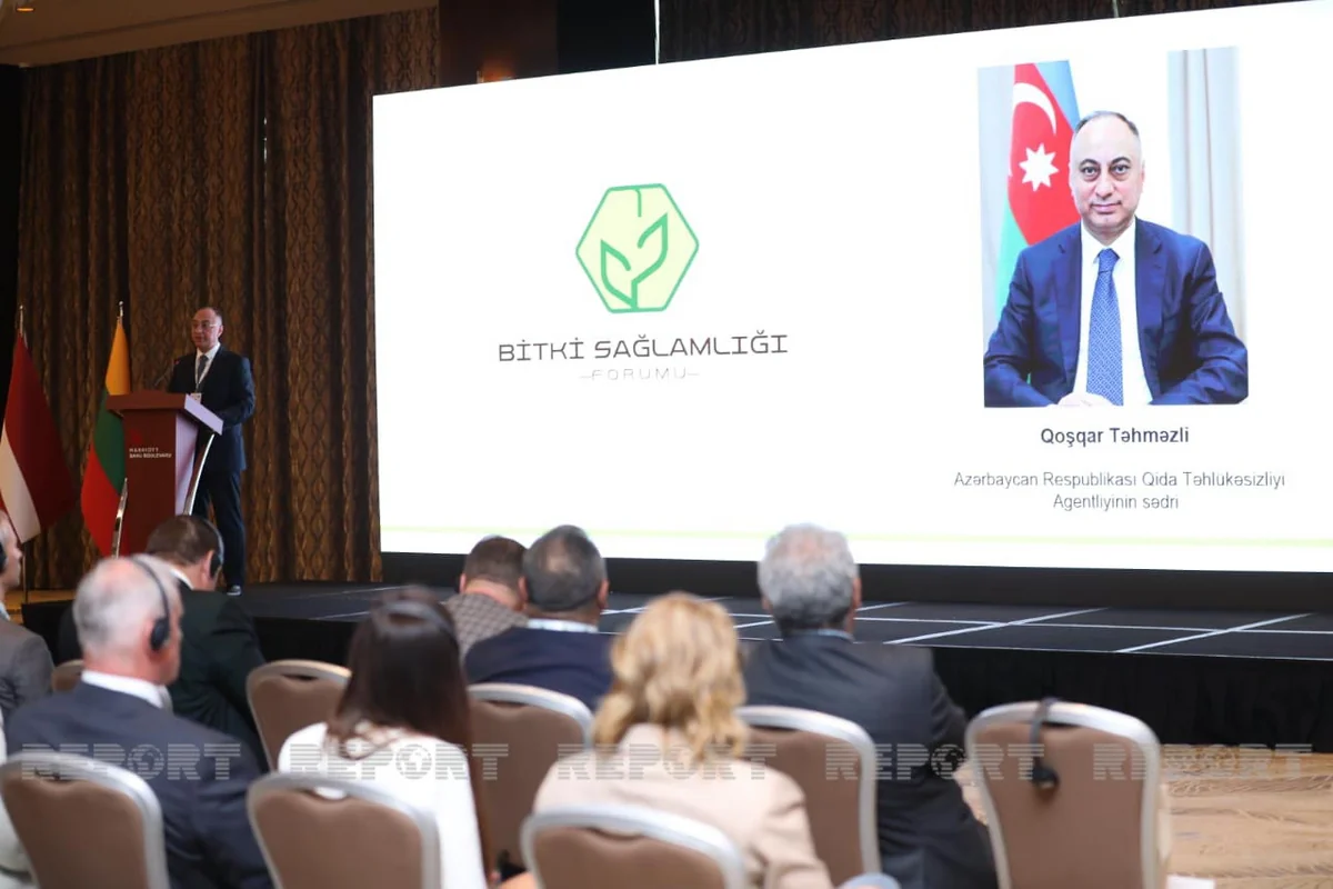 Bitki sağlamlığı sahəsində hüquqi islahatlar dərinləşdiriləcək