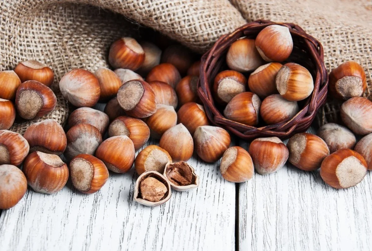 Азербайджан может стать вторым в мире производителем фундука