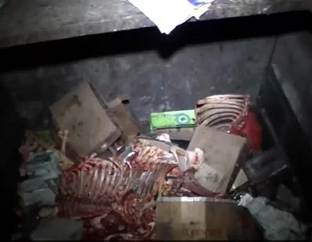 Təzə bazardakı gizli sexdə aşkarlanan yararsız ətlərin laboratoriya müayinələri açıqlanıb