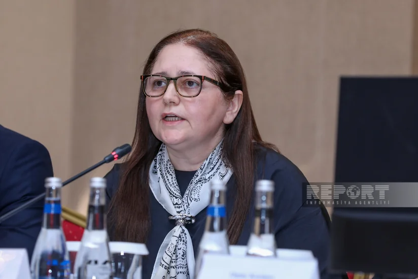 Aynur Sofiyeva: Ölkədə uşaqlara dair mühüm sənədlərin qəbulu nəzərdə tutulur