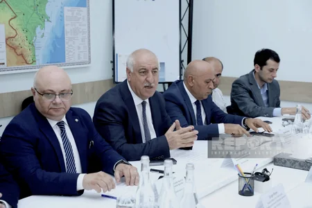 Bəzi ərazilərdə yaşıllıqların və quruyan tinglərin götürülməsi müzakirə olunub
