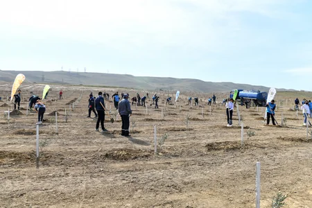 İqtisadiyyat Nazirliyinin əməkdaşları “Yaşıl Marafon” kampaniyasına qoşuldu