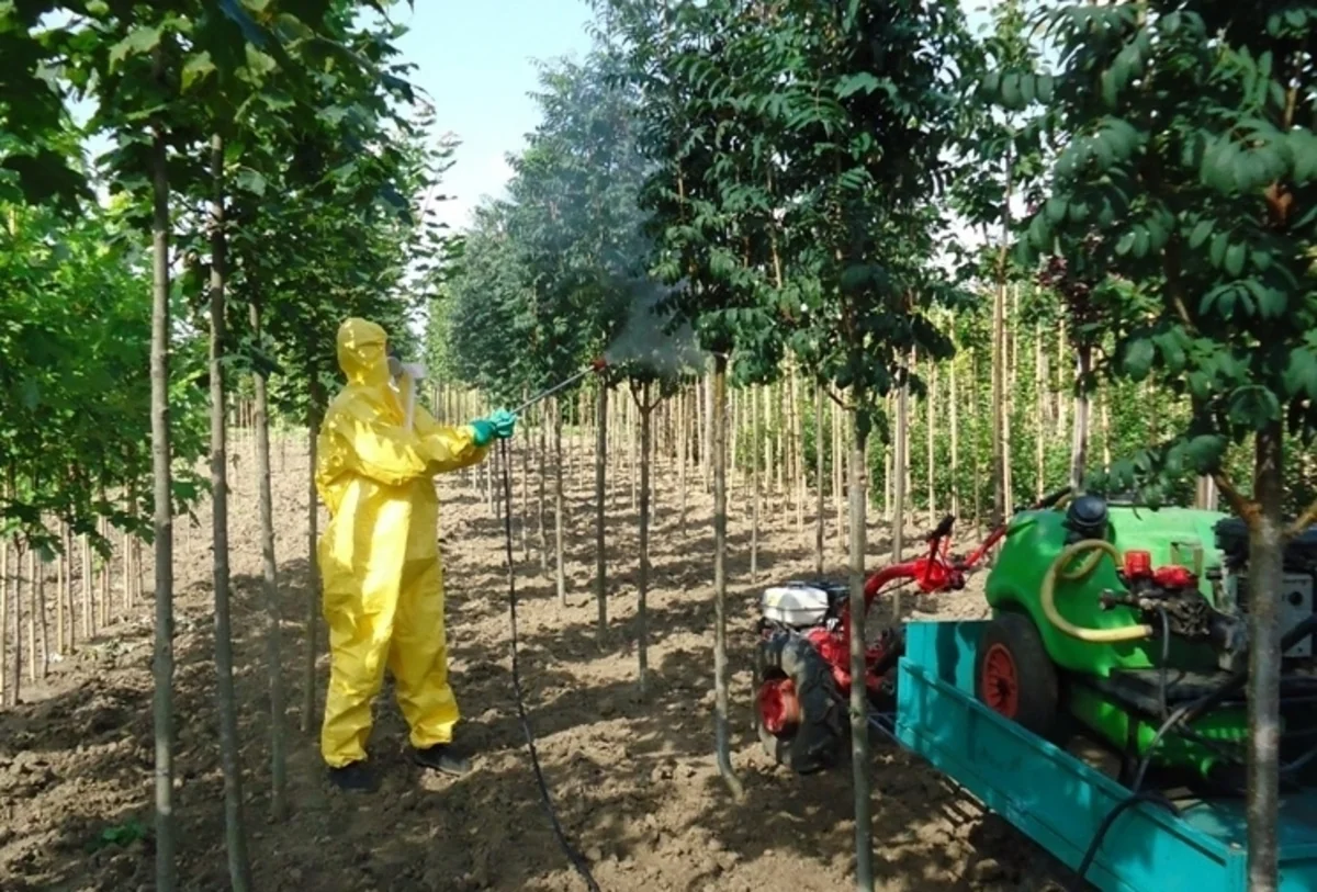 Şöbə müdiri: Azərbaycanda zərərli maddələrin torpağa təsiri araşdırılmır