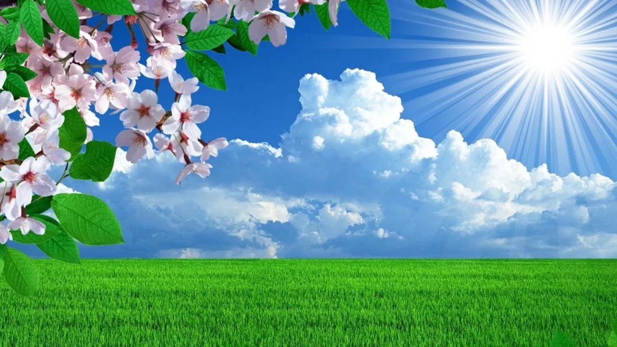 Havanın temperaturu 32 dərəcəyədək yüksələcək