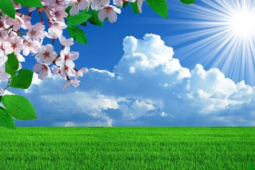 Havanın temperaturu 32 dərəcəyədək yüksələcək