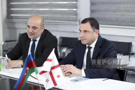 Azerbaijan, Georgia to expand cooperation in science and education