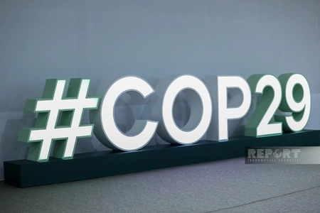 COP29 presidency to represent Azerbaijan at UNIDO Global Dialogue, OPEC seminar