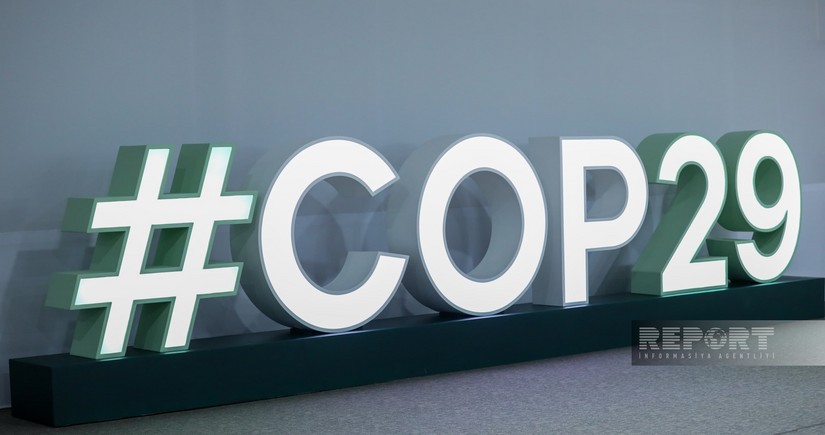 COP29 presidency to represent Azerbaijan at UNIDO Global Dialogue, OPEC seminar