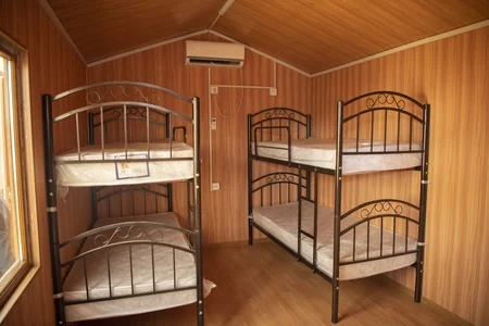 Arıçılıq təsərrüfatlarının Qubadlı yaylaqlarına köçünə start verilib