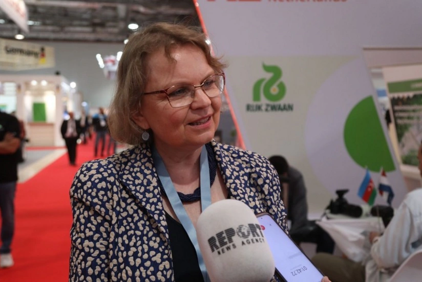 Dutch ambassador congratulates Azerbaijan