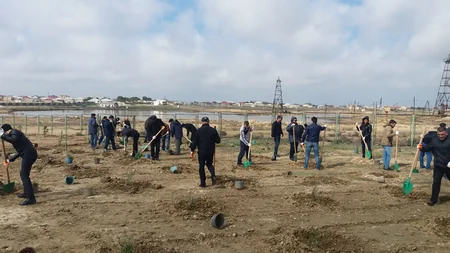 SOCAR əməkdaşları 5 900 ağac əkib